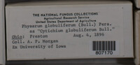 Image Associated With the Occurence